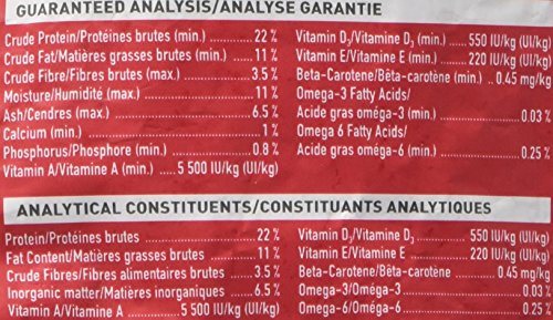 Hagen Tropican High Performance Parrot Food, 3.3 ib. - Hari Parrot Sticks with Peanuts & Sunflower Seeds and Higher Nutrition Levels