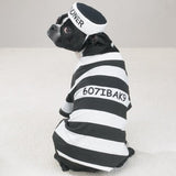 Casual Canine Prison Pooch Costume, Large