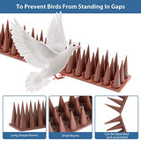 Bird Spikes, 20 Pack Bird Squirrel Raccoon Pigeon Cat Animal Deterrent Spikes for Outside Anti Bird Defender Spikes Outdoor to Keep Birds Away Brown