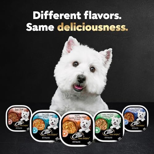 CESAR HOME DELIGHTS Adult Wet Dog Food & Classic Loaf in Sauce Variety Pack, 3.5 oz. Easy Peel Trays, 36 Count (Pack of 1)