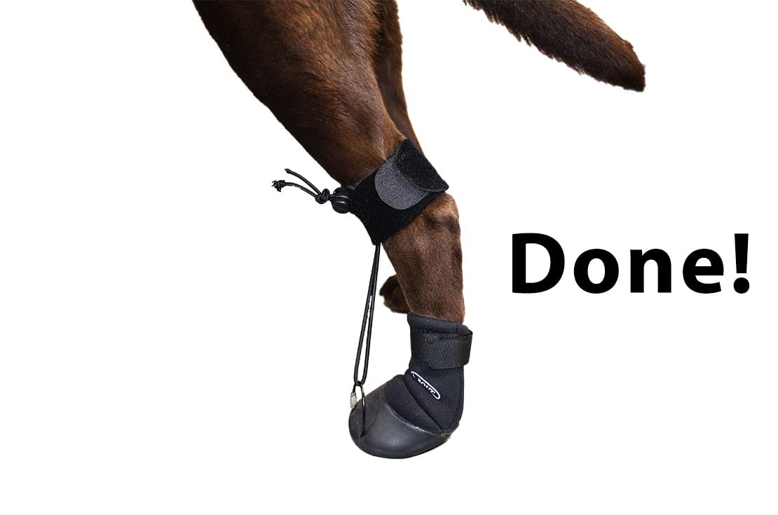 WALKABOUT™ Toe'sUP No Knuckling Boot Brace for Dogs Dragging Paws | Corrective Dog Shoes to Safely Lift Toes