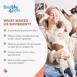 Mange Treatment for Cats, Natural Ear Mite Treatment & Cat Itchy Skin Relief, Helps with Feline Scabies, Feline Dandruff, Shedding, Excessive Grooming and General Cat Skin Care, 400 Odorless Pills