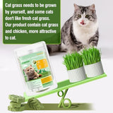 100g/3.52oz Cat Grass Treats, Cat Grass Teething Stick for Hairball Remove and Teeth Cleaning, Edible Cat Grass Stick Snack