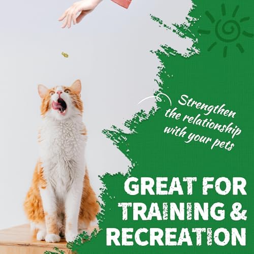 13.4 OZ Cat Grass Treats Natural Salmon Flavor Healthy Cat Snacks Training Biscuits Catnip for Cats Dental and Hairball Control Treats