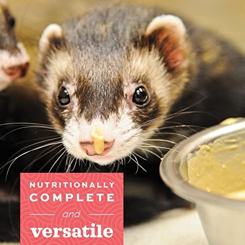 Oxbow Animal Health Critical Care, Carnivore, 340 Grams