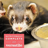Oxbow Animal Health Critical Care, Carnivore, 340 Grams