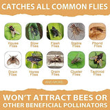 10 Pack Fly Bait, Fly Trap Bait for Outdoor, Fly Bait Refill, Fly Catcher Bait Trap Refill for Reusable Ranch Fly Trap, Fly Traps Outdoor, Stable Fly Trap, 300g Total