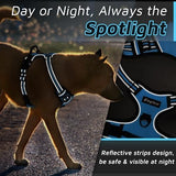 Eagloo Dog Harness Large Breed, No Pull Service Vest with Reflective Strips and Control Handle, Adjustable and Comfortable for Easy Walking, No Choke Pet Harness with 2 Metal Rings, Sky Blue, XL
