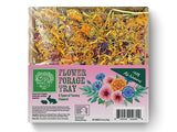 Small Pet Select Forage Tray Bundle, 3 Pack of Foraging Trays for Rabbit, Guinea Pig, Hamster or Bunny - Natural Treats, Dandelion, Flower, Herb Mix 2.5oz Each