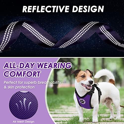 Lukovee Dog Safety Vest Harness with Seatbelt, Seat Belt Adjustable Pet Harnesses Double Breathable Mesh Fabric with Car Vehicle Connector Strap for Dog (Medium, Purple)