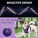 Lukovee Dog Safety Vest Harness with Seatbelt, Seat Belt Adjustable Pet Harnesses Double Breathable Mesh Fabric with Car Vehicle Connector Strap for Dog (Medium, Purple)