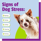 Pet Naturals Calming for Dogs, 30 Chews - Naturally Sourced Stress and Anxiety Calming Ingredients for Behavior Support - Vet Recommended