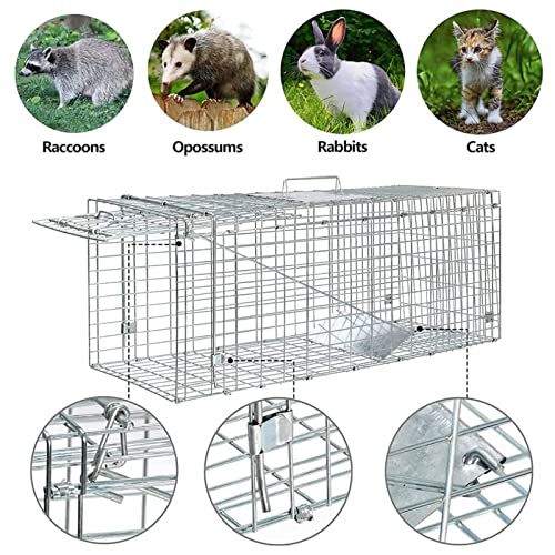Humane Cat Trap for Stray Cats 24"x8"x7" Live Animal Trap Live Traps for Cats Racoon Possum Rabbit Squirrel Mouse Small Animal Trap Outdoor Indoor Collapsible Steel Humane Release Animal Cage