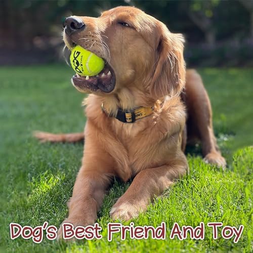 6PC Squeaky Dog Balls - Tennis Balls for Dogs,2.5''