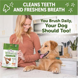 Whimzees Wellness Occupy Dog Dental Treats, Natural Chews, Medium Size, (12 Count)
