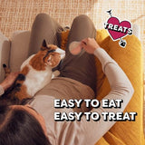 Temptations Lickable Spoons Adult Wet Cat Treat, Savory Salmon and Tempting Tuna Flavor, 10 Grams, Pack of 12 (96 Total Spoons)
