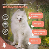 Mange Treatment for Dogs, Natural Dog Itching Skin Relief for Demodectic & Puppy Mange, Mites, Canine Scabies, Helps Dogs Skin Irritation, Hot Spots, Hair Loss, and Canine Dandruff, 800 Odorless Pills