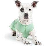 Goldpaw Dog Sun Shirt with UV Protection - Lightweight, Cooling Sun Protection Clothing for Small Dogs - Reduce Heat Absorption - Made in The USA - Machine Washable - Pistachio Green - Size 8