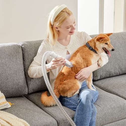 Sweetcrispy Professional Pet Grooming Vacuum Kit with Cordless Low Noise Dog Clippers, 2.5L Cup, 3 Suction Modes, and 5 Groomer Tools for Cats, Dogs and Other Animals Hair Trimmer