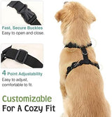 Dog Seat Belt, Safety Vest Dog Car Harness with Adjustable Buckle Dog Seat Belt for Vehicle Nylon Pet Safety Seat Belts Heavy Duty(M, Purple)