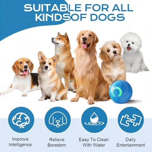 2025 New Vibrating Dog Ball, Automatic Moving Dog Ball, Pet Bounce Ball, Interactive Dog Toys, Viral Bouncing Ball, Shaky Ball Toy Rolling Ball Toys for Small Cats Dogs (s-2pc Mix)