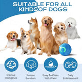 2025 New Vibrating Dog Ball, Automatic Moving Dog Ball, Pet Bounce Ball, Interactive Dog Toys, Viral Bouncing Ball, Shaky Ball Toy Rolling Ball Toys for Small Cats Dogs (s-2pc Mix)