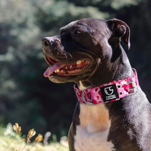 TSPRO Tactical Collar - Thick Adjustable Wide Collar for Medium to Large Dogs with Metal Buckle and Patch (Camo Khaki - M+)
