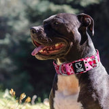 TSPRO Tactical Collar - Thick Adjustable Wide Collar for Medium to Large Dogs with Metal Buckle and Patch (Camo Khaki - M+)