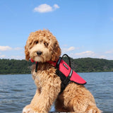 ZippyPaws Adventure Dog Life Jacket - Dog Life Vest for Swimming & Boating, Fits Small Pets, Lightweight Flotation Device for Water Safety, Padded Handle, Adjustable Fit, 6-10" - XX-Small, Red