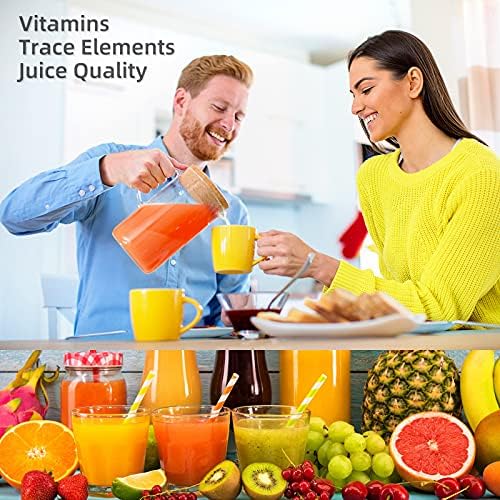 Masticating Juicer Accessories, Gdrtwwh Juicer Machines Attachments Compatible with All KitchenAid Stand Mixers and Cuisinart SM-50BC/SM-50R/SM-50TQ/SM-50BL/SM-50BK Stand Mixers,Black