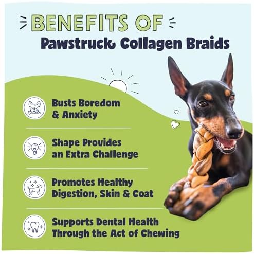 Pawstruck Natural 5-7” Beef Collagen Braids for Dogs – Long-Lasting Rawhide & Bully Stick Alternative, with Chondroitin & Glucosamine – 5 Pack