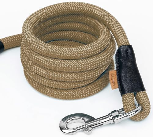 Dog Leash, Braided Rope Traction – Walking Training Lead for Small Dogs ((1/3") x 6FT, Khaki)