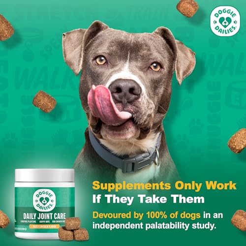 Doggie Dailies, Hip and Joint Supplement for Dogs, Glucosamine Chondroitin, Premium Hip and Joint Chews for Dogs All Breeds & Sizes, Dog Vitamins and Supplements, (Chicken) 225 Chews