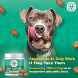 Doggie Dailies, Hip and Joint Supplement for Dogs, Glucosamine Chondroitin, Premium Hip and Joint Chews for Dogs All Breeds & Sizes, Dog Vitamins and Supplements, (Chicken) 225 Chews