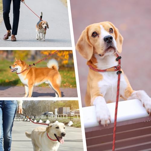 lynxking Slip Lead Dog Leash Reflective, Heavy Duty Comfortable Strong Rope Lead for Large, Medium Dogs, No Pull Pet Training Leashes (Red, Large 1/2in x 6ft-Slip Lead)
