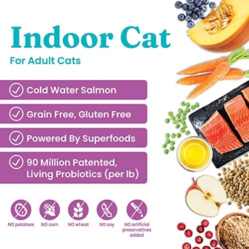 Solid Gold Indoor Dry Cat Food - Let's Stay in Cat Food Dry Kibble for Indoor Cats - Hairball & Sensitive Stomach - Grain & Gluten Free - Probiotics & Fiber for Digestive Health - Salmon - 3lb