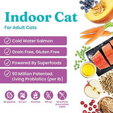 Solid Gold Indoor Dry Cat Food - Let's Stay in Cat Food Dry Kibble for Indoor Cats - Hairball & Sensitive Stomach - Grain & Gluten Free - Probiotics & Fiber for Digestive Health - Salmon - 3lb