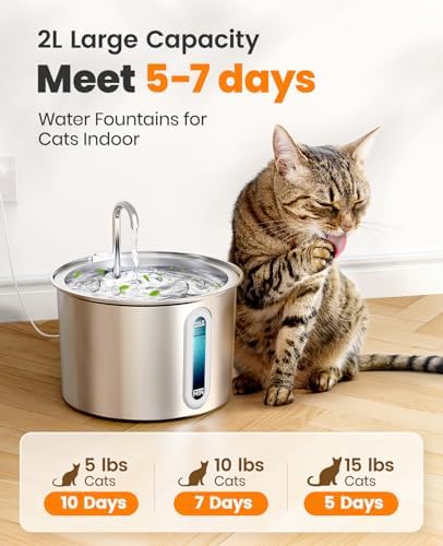 oneisall Stainless Steel Cat Water Fountain, 2L Water Fountains for Cats Indoor with Quiet Pump and 3 Replacement Filters, Pet Water Fountain Faucet Spout Design Cat Fountain Drinking Inside, PWF 001