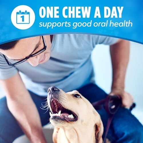 Purina Dentalife Daily Oral Care Chicken Flavor Large Breed Dog Dental Chews - 7 ct. Pouch