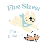 Baby Security in Training Dog Bandana Pregnancy Announcement Natural Cream Minimal Style (X-Large)