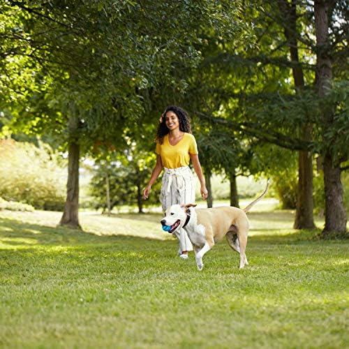 Rachael Ray Nutrish Zero Grain Dry Dog Food, Chicken & Sweet Potato Recipe, 26 Pounds