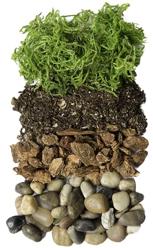 Portland Terrarium kit - DIY Mason Jar Terrarium Kit