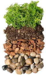 Portland Terrarium kit - DIY Mason Jar Terrarium Kit