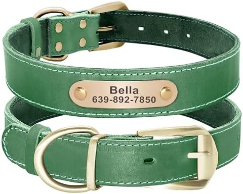 Didog Genuine Leather Dog Collars with Engraved Nameplate, Personalized Soft Leather Collar with Custom ID Tag, Brown/Green/Red for Medium Large Dogs (M,Green)