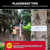 Catchmaster Tree Shield Lantern Fly & Ant Traps Insect Barrier, 4 Rolls 30ft Each, Outdoor Adhesive Crawling Insect Trap, Glue Traps to Protect Trees, Fruit & Plants, Pest Control Lawn & Garden