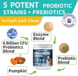 Probiotics for Dogs, Improve Itchy Skin Itchy Ears, Gut Health, Yeast Balance, Allergies, Immunity, Dog Probiotics and Digestive Enzymes with Prebiotics, Reduce Diarrhea (180 Chews, Steak)