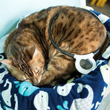 Assisi Loop 2.0 Manual tPEMF Device for Dogs, Cats, and Horses (20 cm)