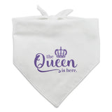 GRAPHICS & MORE The Queen is Here Crown Royalty Dog Pet Bandana