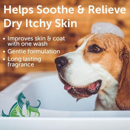 Nootie Aloe&Oatmeal Pet Shampoo for Sensitive Skin-Long lasting Cucumber Melon Shampoo-Helps Relieve Dry Itchy Skin for Dogs&Cat-Natural Ingredient-Soap Paraben&Sulfate Free-Cleans Conditions-1 Gallon