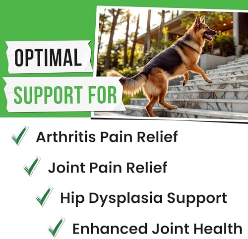 Glucosamine for Dogs - Joints Health Treats w/Omega Fish Oil - Natural Joint Pain Relief - Canine Hip and Joint Supplement w/Chondroitin + MSM + Turmeric + Calcium - 240 Beef Chews